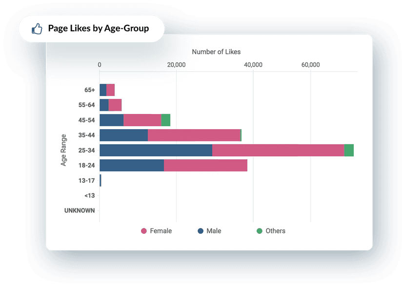 Page Likes by Age Group